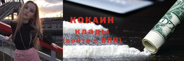 стаф Алзамай