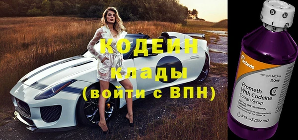 трава Арсеньев